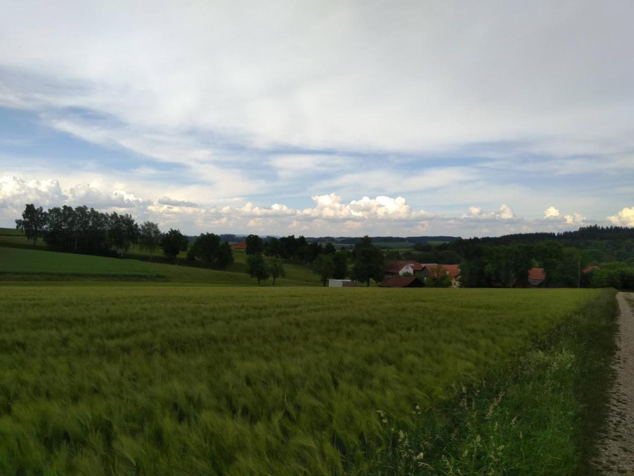 Gasthaus Schachinger Tumeltsham Exteriér fotografie